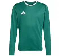 adidas Entrada 26 Džersis ilgomis rankovėmis vaikams Žalias KF5873