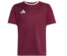 adidas Entrada 26 Jersey bordo vaikiški marškinėliai JZ2530