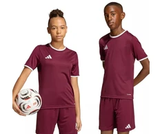 adidas Entrada 26 Jersey bordo vaikiški marškinėliai JZ2530