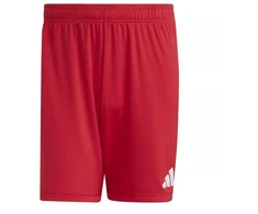 adidas Entrada 26 šortai JZ2517