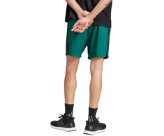 adidas Essentials 3-Stripes Chelsea šortai M JW1910
