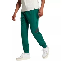 adidas Essentials Big Logo French Terry kelnės M JE8971