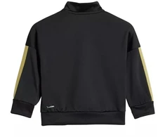 adidas Essentials Climacool Vaikų sportinis kostiumas Juodas ir auksas JC8857