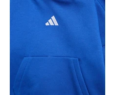 Adidas Essentials Mėlyni Vaikiški sportiniai kelnės JV9841