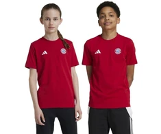adidas FC Bayern Munchen vaikiški marškinėliai Raudona IT4138