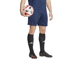 adidas Fortore 23 M IK5729 šortai