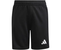 adidas Jaunimo vartininko šortai Tierro 26 KF5962