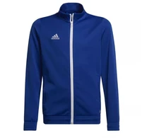 Adidas Junior Entrada 22 sportinis džemperis Jr HG6288