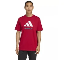 adidas Liverpool FC Sezoniniai DNA Grafiniai marškinėliai 2 JY3466
