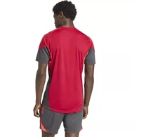 adidas Liverpool FC Treniruočių marškinėliai KB1466