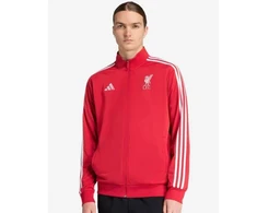 adidas Liverpool LFC DNA bliuzonas JW7892
