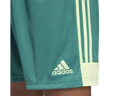 adidas M Tastigo 19 Šortai DP3251