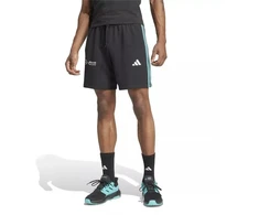 Adidas Mercedes DNA M JV5429 šortai
