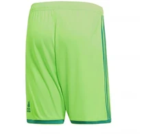 Adidas Regista 18 Šortai M CF9598 šortai