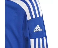 Adidas Squadra 21 Jr GP6469 džemperis