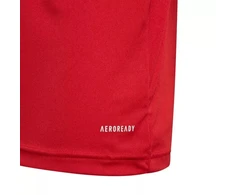 adidas Squadra 21 Polo Jaunimo GP6423