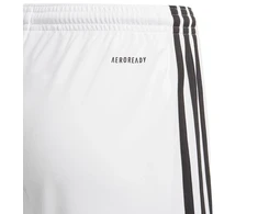 Adidas Squadra 21 šortai jaunimo Jr GN5766