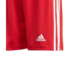 Adidas Squadra 21 Šortai Jaunimui Jr GN5761