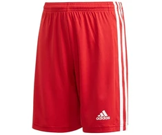 Adidas Squadra 21 Šortai Jaunimui Jr GN5761