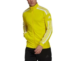 Adidas Squadra 21 Treniruočių M džemperis GP6465
