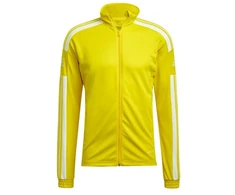 Adidas Squadra 21 Treniruočių M džemperis GP6465