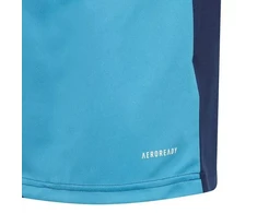 adidas Squadra 21 vartininko apranga jaunimui Jr GN6947