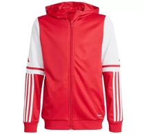 Adidas Squadra 25 Hoodie Jr JD4801 džemperis