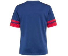 Adidas Squadra 25 Jr marškinėliai JJ2415