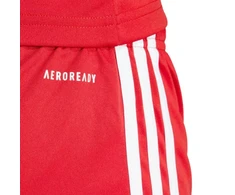 adidas Squadra 25 moteriški raudoni šortai JJ0011