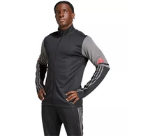 Adidas Squadra 25 Training M JD1630 džemperis