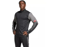 Adidas Squadra 25 Training M JD1630 džemperis