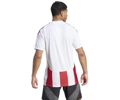 Adidas Striped 24 JSY M marškinėliai IW2142