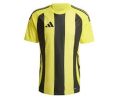 Adidas Striped 24 JSY M marškinėliai IW2146