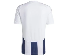 Adidas Striped 24 JSY M Marškinėliai IW4554