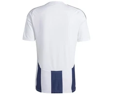 Adidas Striped 24 JSY M Marškinėliai IW4554