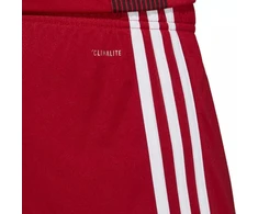 adidas Tastigo 19 Šortai M DP3681