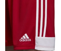 adidas Tastigo 19 Šortai M DP3681