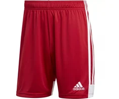 adidas Tastigo 19 Šortai M DP3681