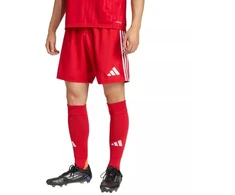 adidas Tastigo 25 M JN7157 šortai