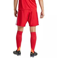 adidas Tastigo 25 M JN7157 šortai