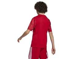 adidas Team Icon 25 Jr JM8362 Marškinėliai
