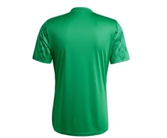 adidas Team Icon 25 M marškinėliai JG3552