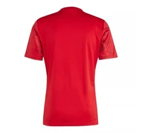 adidas Team Icon 25 M marškinėliai JM8360