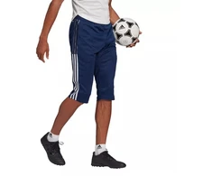 Adidas Tiro 21 3/4 M GH4473 kelnės