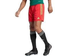 adidas Tiro 23 League M IB8090 Šortai