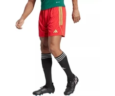 adidas Tiro 23 League M IB8090 Šortai