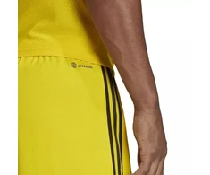 adidas Tiro 23 League vyriškos trumpikės M IB8085