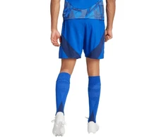 Adidas Tiro 24 Competition treniruočių M šortai IQ4755