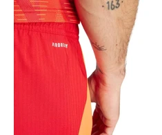 Adidas Tiro 24 Competition Treniruočių šortai M IK2245
