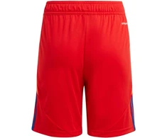 adidas Tiro 24 Jr IT2422 šortai